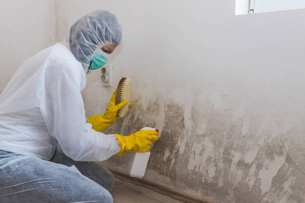 Best Crawl Space Mold Removal  in Needville, TX