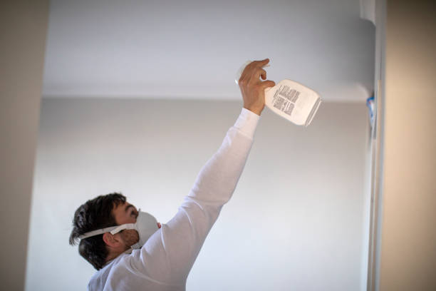 Best Mold Inspection  in Needville, TX
