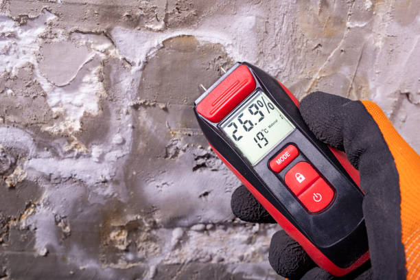 Best Mold Testing  in Needville, TX